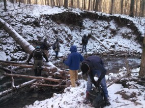 IMG_20121223_091946_356_800px_80