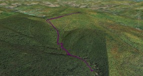 balsam121223google_1000px_800px_80