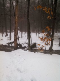 IMG_20131222_100510_442_for_meetup