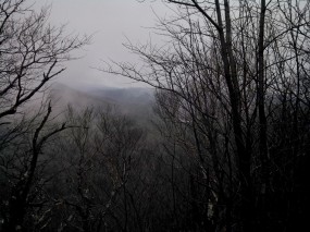 IMG_20131222_110625_699_for_meetup