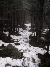 IMG_20131222_131428_981_for_meetup