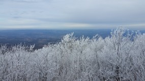 20160130_110103_meetup